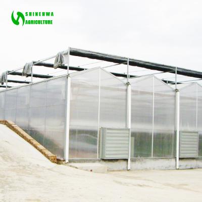 China Fruit Flowers Polycarbonate Greenhouse /PC Sheet Greenhouse For Flowers / Vegetable Plant / Garden / Fruits for sale