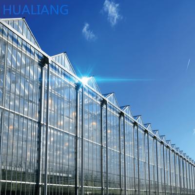 China Commercial Glass Greenhouse New Design Tempered Greenhouse Glass Greenhouses Prices Indoor Glass Greenhouse for sale