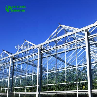 China Agriculture Vegetable Multi-Span Greenhouses Flowers Fruits Glass Greenhouses Galvanized Steel Glass Greenhouse for sale