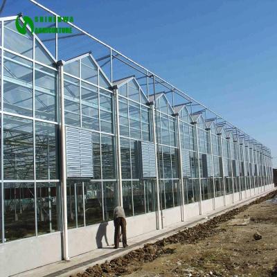 China HuaLiang Multi-Span Greenhouse Vegetable Agricultural Glass Greenhouse Manufacturer Hydroponic Flowers Fruit Greenhouse for sale