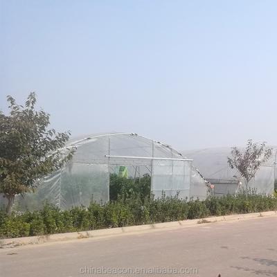 China HuaLiang Vegetable Agricultural Geodome Greenhouse HuaLiang Flowers Fruits Flowers Single Span Tunnel Greenhouse Single Hoophouse Greenhouse for sale