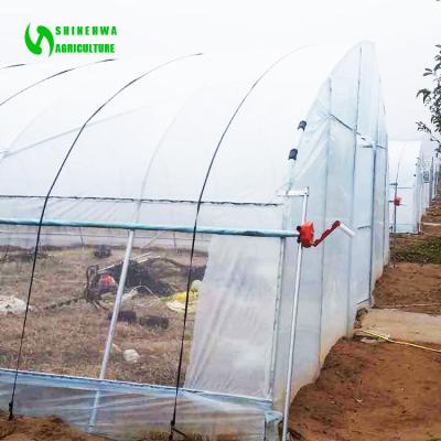 China HuaLiang Vegetable Agricultural Geodome Greenhouse HuaLiang Flowers Fruits Flowers Single Span Tunnel Greenhouse Single Hoophouse Greenhouse for sale