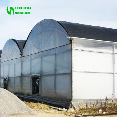 China Medical hemp growing plastic film with blackout system for growing medical hemp Multi-span film agricultural greenhouses for sale for sale