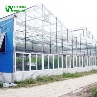 China Multispan Vegetable Hot Solar Photovoltaic Greenhouse Sale Flowers Fruit Agricultural Greenhouses With Hydroponic Growing Systems for sale