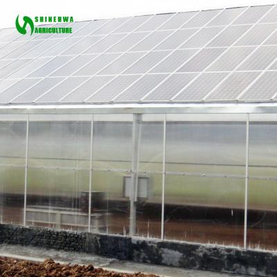 China Vegetable Flowers Multi-span Solar Fruit Greenhouse With Hydroponics System Planting System Indoor Hydroponic Garden Green House for sale