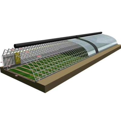 China Grow Vegetables In Winter China Solar Greenhouse With Soil / Earth / Brick Wall For Vegetable Growing In Cold Winter for sale