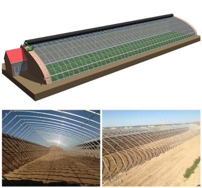 China Grow Vegetables In Hualiang Winter Greenhouse Cheap Energy Saving Sunlight Solar Greenhouse On Sale for sale