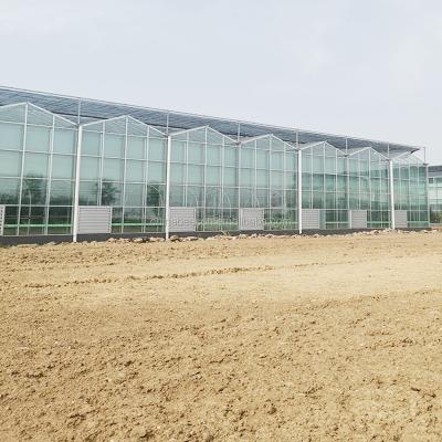 China Greenhouse Restaurant Agricultural Production Glass Greenhouses For Restaurant for sale