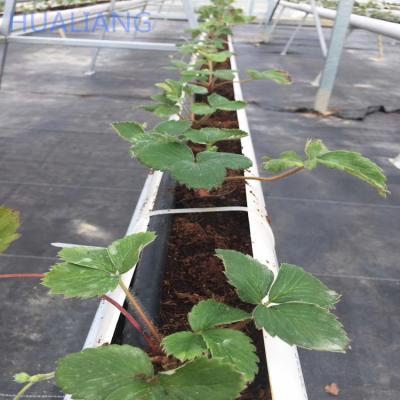 China Fruit Vegetables Planting 2021 Hot Selling High Quality Hydroponic System For Greenhouses Vegetable Solar PC Large Agricultural Leaf for sale