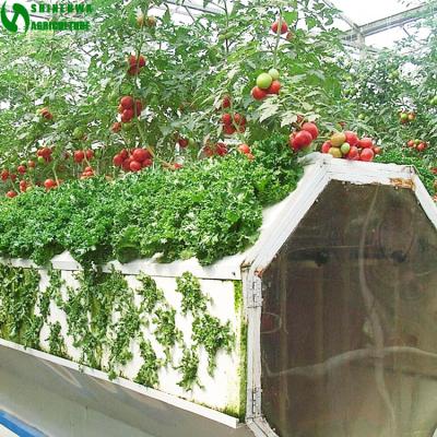 China High Quality Hot Selling Farms Aeroponics Commercial Hydroponics System For Greenhouse for sale