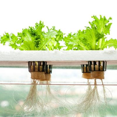 China Vegetables Planting 2020 PVC Commercial Agricultural Hydroponics Pipe Growing System DFT for sale