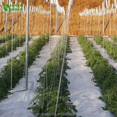 China Easy Growing Coconut Coir Bag Substrate Culture Used For Agricultural Greenhouse For Tomato Breeding for sale