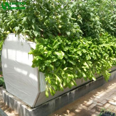 China Aeroponics Easy Growing Vertical System For Agricultural Greenhouse For Sale for sale