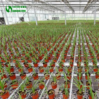 China Vegetable Fruit Flowers Mesh Seedbed Mobile Nursery Planting Equipment for Garden Greenhouses for Agricultures Hydroponics for sale