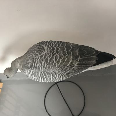 China Juvenile type of goose hunting young snow goose decoy making for sale