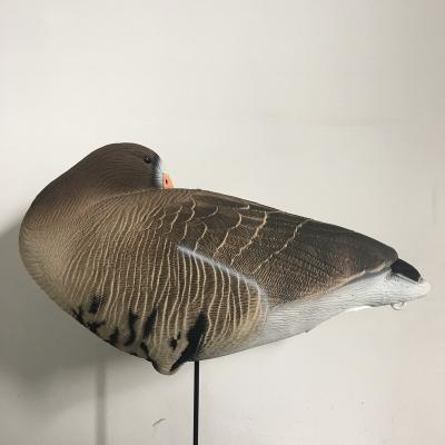 China Folding decoys for hunting for sale