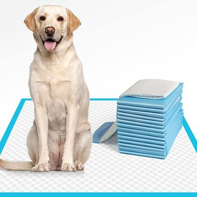 China Free Sample Super Absorbent Leak Proof Disposable Dog Stocked Pee Pads Training Puppy Pee Pads for sale