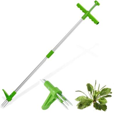 China Winslow& Outdoor Ross Adjustable Garden Tools Stand Up Weed Puller Weed Puller Weed Remover for sale