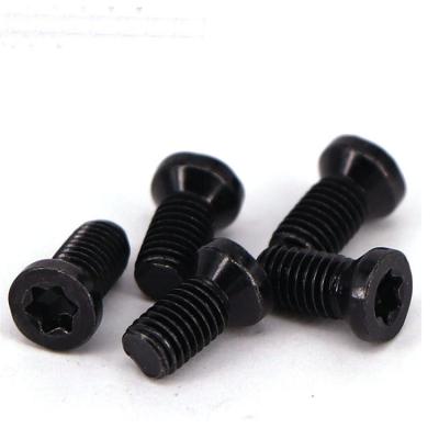 China #2 #4 #6 #8 #10 Head T6 T8 T10 T15 T20 Oval Head 12.9 Grade Oval Steel Black Torx Screw for sale