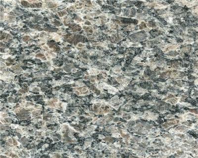 Κίνα Μαρμάρινα πέτρινα/φυσικά πέτρινα Countertops γρανίτη γρανίτη Caledonia προς πώληση