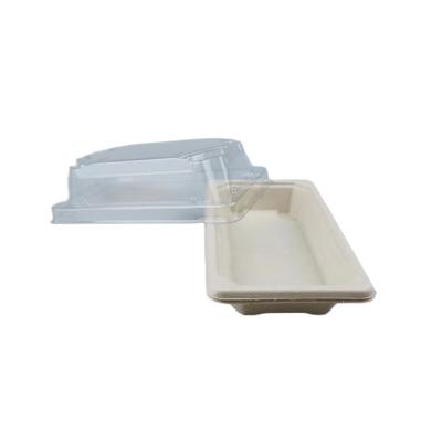 China Unbleached Biodegradable Biodegradable Sushi 6inch Bagasse Bagasse Tray Compostable and Disposable Pulp Food Packaging Container Bagasse Tray for sale