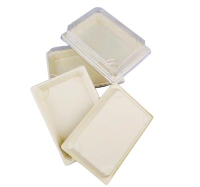 China Natural Eco Rriendly Bagasse Bagasse Sushi Container Sugar Cane Bagasse Tray for sale