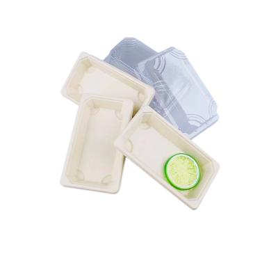 China Disposable Biodegradable Sugarcane Bagasse Paper Food Packaging Container Sushi 8inch Rectangular Tray for sale