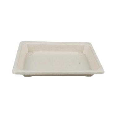 China Eco-friendly Disposable Bagasse Dish Sushi Tray Biodegradable Bagasse Sugar Cane Pulp Bagasse Food Packaging for sale