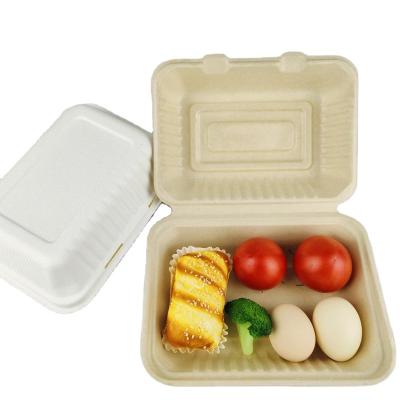 China Eco-Friendly Compostable Big Hamburger Recyclable Big Hamburger Food Bagasse Bagasse Sugar Cane Packaging Boxes With Lids for sale