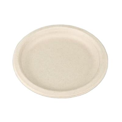 China Wholesale Custom Disposable Bagasse Logo Sugarcane Paper 10 Inch Dishes Sugarcane Bagasse Ttableware Food Container for sale