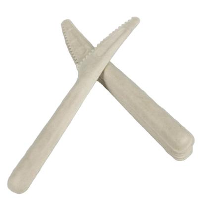 China 100% Recyclable Bagasse Paper Cutlery Wrapped Fork Sugarcane Cutlery Knife for sale