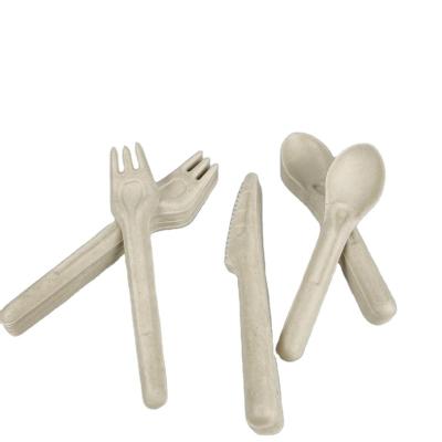 China 100% Biodegradable Disposable Sugarcane Spoon Bagasse Ice Cream Spoon Soup Spoon for sale