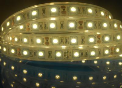 China luces de tira impermeables llevadas Deracotion de 10m m 12v 5050 SMD 50000 horas en venta