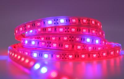 China 60 luces de tira llevadas al aire libre Cuttable del LED 440nm azul 660nm rojo en venta