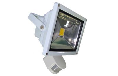 China la prenda impermeable ahorro de energía 2700~3200K de la luz de inundación de 20W PIR LED IP65 calienta el blanco, respetuoso del medio ambiente en venta