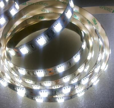 China Dimmable transparente llevó luminoso ahorro de energía de las luces de tira alto en venta