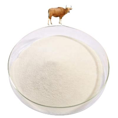 China All Best Quality Bovine Collagen Protein Powder Beef Collagen Powder for sale