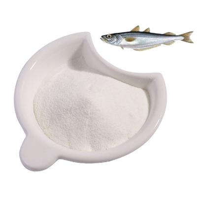 China All Pure Marine Fish Marine Collagen Peptide Powder Raw Material for sale