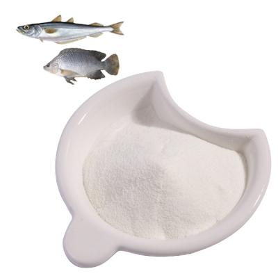 China All Marine Fish Collagen Peptide Protein Powder Hydrolyzed Pure Marine for sale