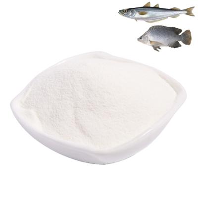 China All Fish Protein Hydrolyzate Powder Beauty Perfect White Collagen for sale