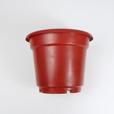 China Home Decoration Plastic Succulent Plant Flower Nursery Potting Durable Material Desktop Pot Around Red Flower Pot Tool for sale