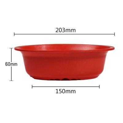 China OEM Support Durable Daffodil Material Eco-Friendly Durable Plastic Oval Pot Large Plastic Flower Pot for sale