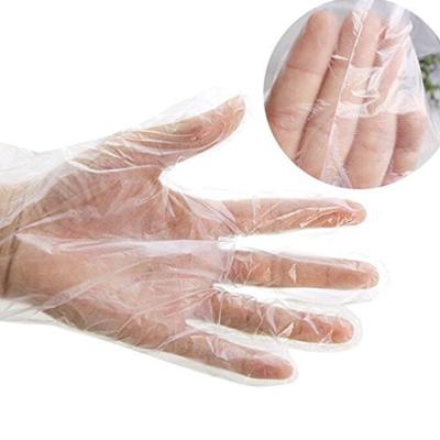 China Waterproof / Clean / Food Contact Grade / Good Open / PE Disposable Transparent Gloves Disposable Plastic Glove Gloves for sale