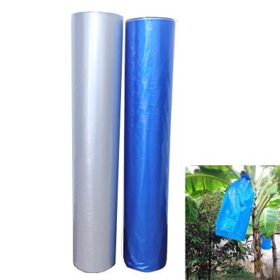 China Banana Grow Protection UV Stabilized Blue PE Plastic Bags For Banana Bunch Cover Bags for sale