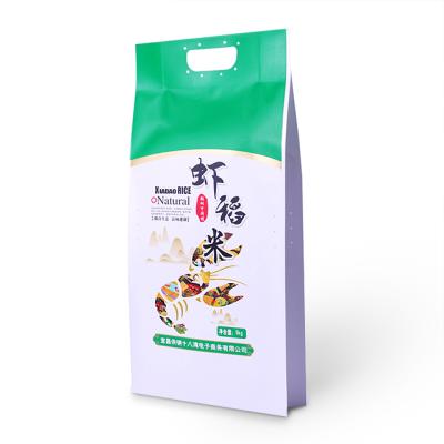 China Moisture Proof Custom Printing Food Packaging 5kg Plastic Rice Packaging Bags for sale