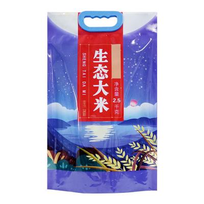 China Custom Printing 2.5kg 5kg Plastic Rice Moisture Proof Packing Bag With Handle for sale