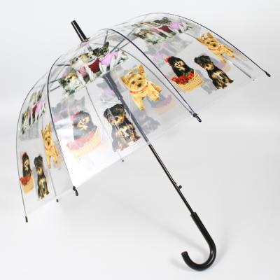 China Stretch Most Popular J Handle Umbrella Dome Umbrella Dog Umbrella Cheap Straight Automatic Operan Design for sale