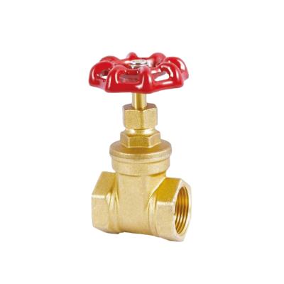 China General Pegler Type 1 Inch Brass Gate Valve For Water for sale