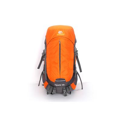 China New Arrival Large Capacity Anti-tear Travel 40L Durable Waterproof Camping Hiking Hiking Bag Backpack for sale