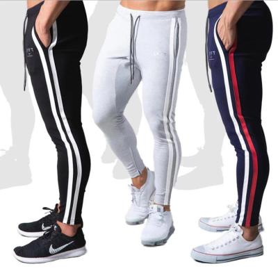 China Gym Bodybuilding Men Summer Fitness Pants Breathable Sweatpants Plus Size Sportswear Elastic Jogger Pants for sale